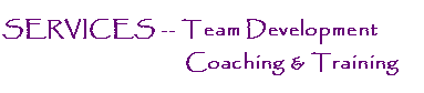 Team Transformation Coaching & Training
